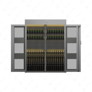 Electronic Multi Weapon Storage (EMS)