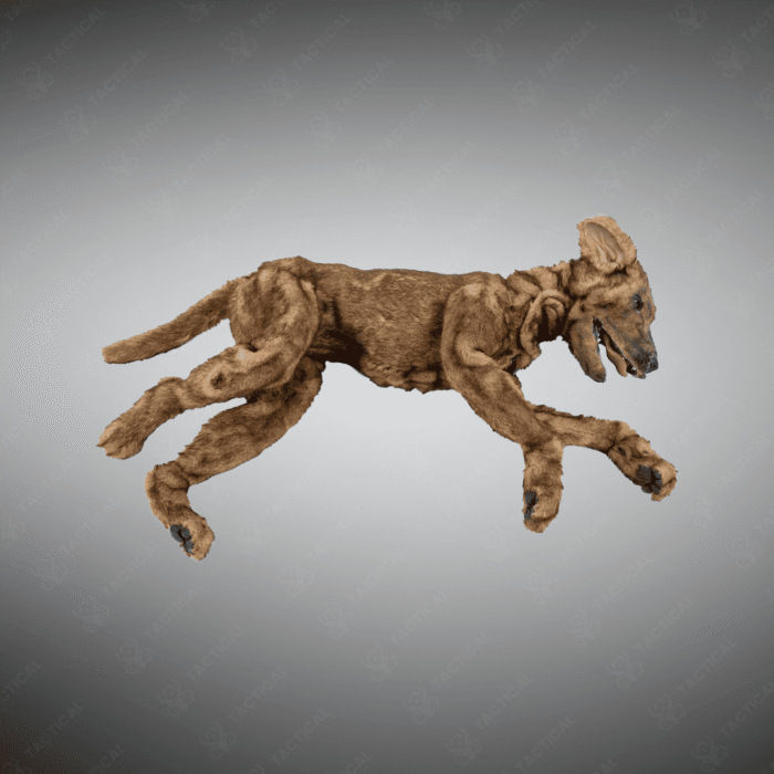 K-9 Medical Simulator
