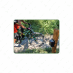 SWISS BIKE+PED LIGHT