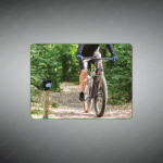 SWISS BIKE+PED LIGHT