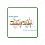 Exploding Golf Ball Targets