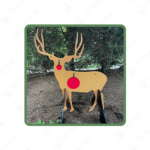 Full Size AR500 Deer Target