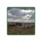 Vehicle Based Ferromagnetic Objects Magnetometer